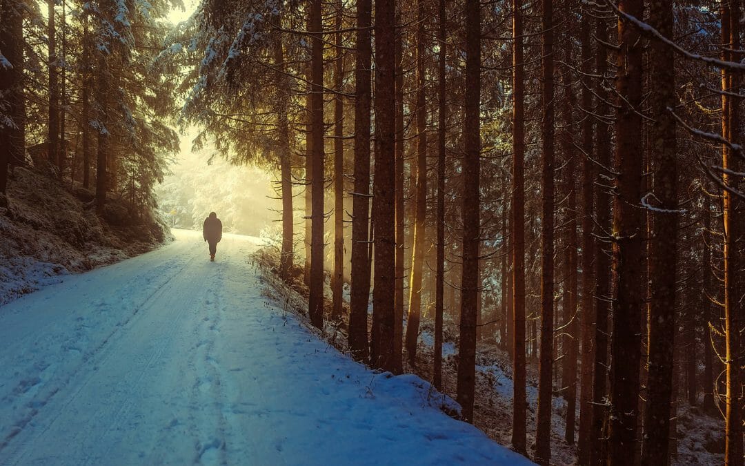 Winter walking in Northumberland